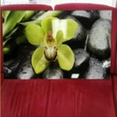 A red couch with a green flower on it