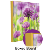 A picture of purple flowers in the grass.