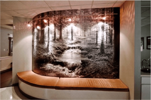 A large photo of the woods is on display.